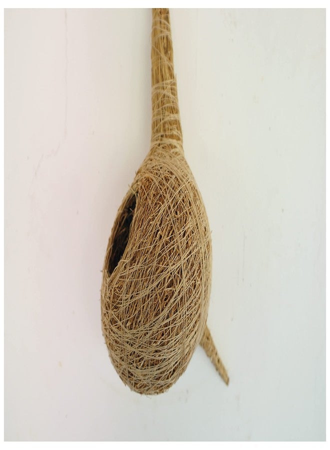 USIRA Safest Round Organic Bird nest Purely Handmade Sparrow/Small Birds,Natural Vetiver Root Bird Nest with 1 Artificial Bird Combo Pack of 3 - Image 3